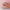 Soak Off 472 Camouflage Rose