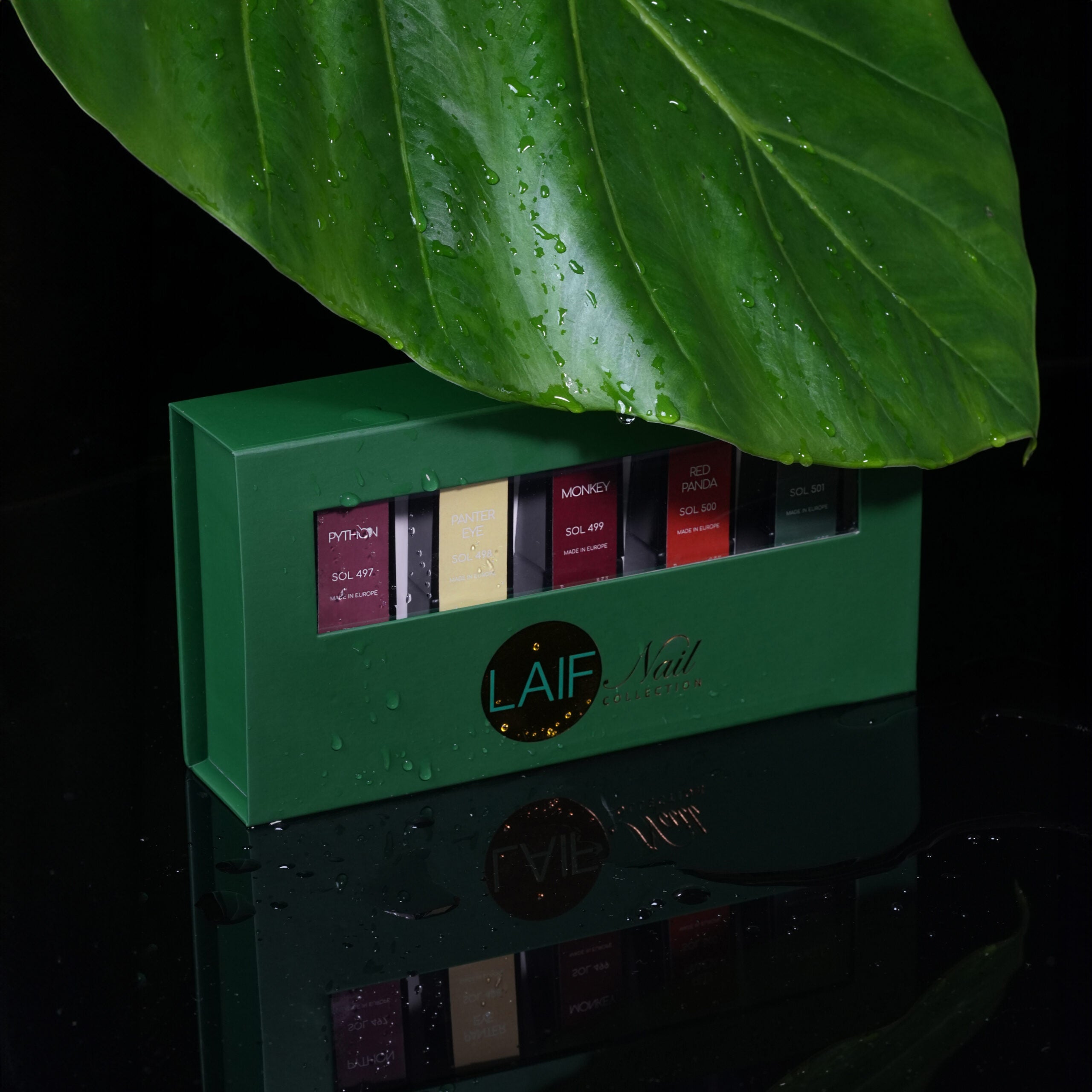 Collezione Soak Off Jungle - Fall 2024  -   LFK53