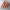 Banner promozionale