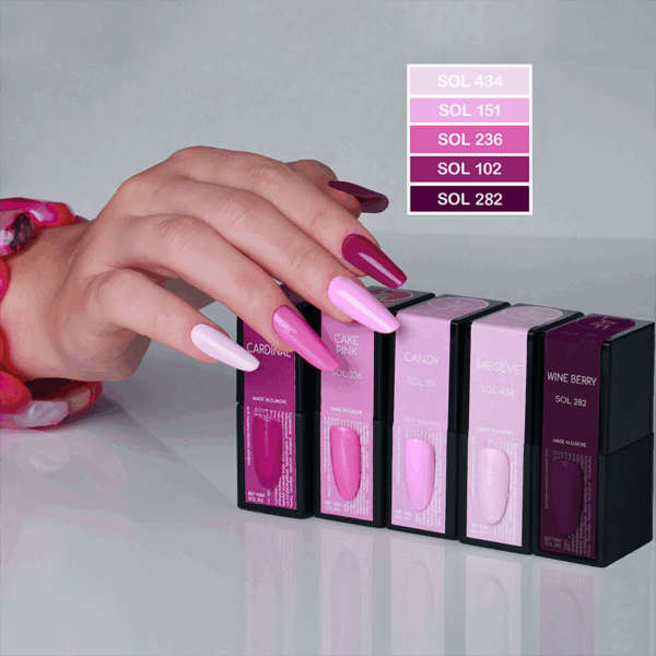 Orchidea  -   LFK29